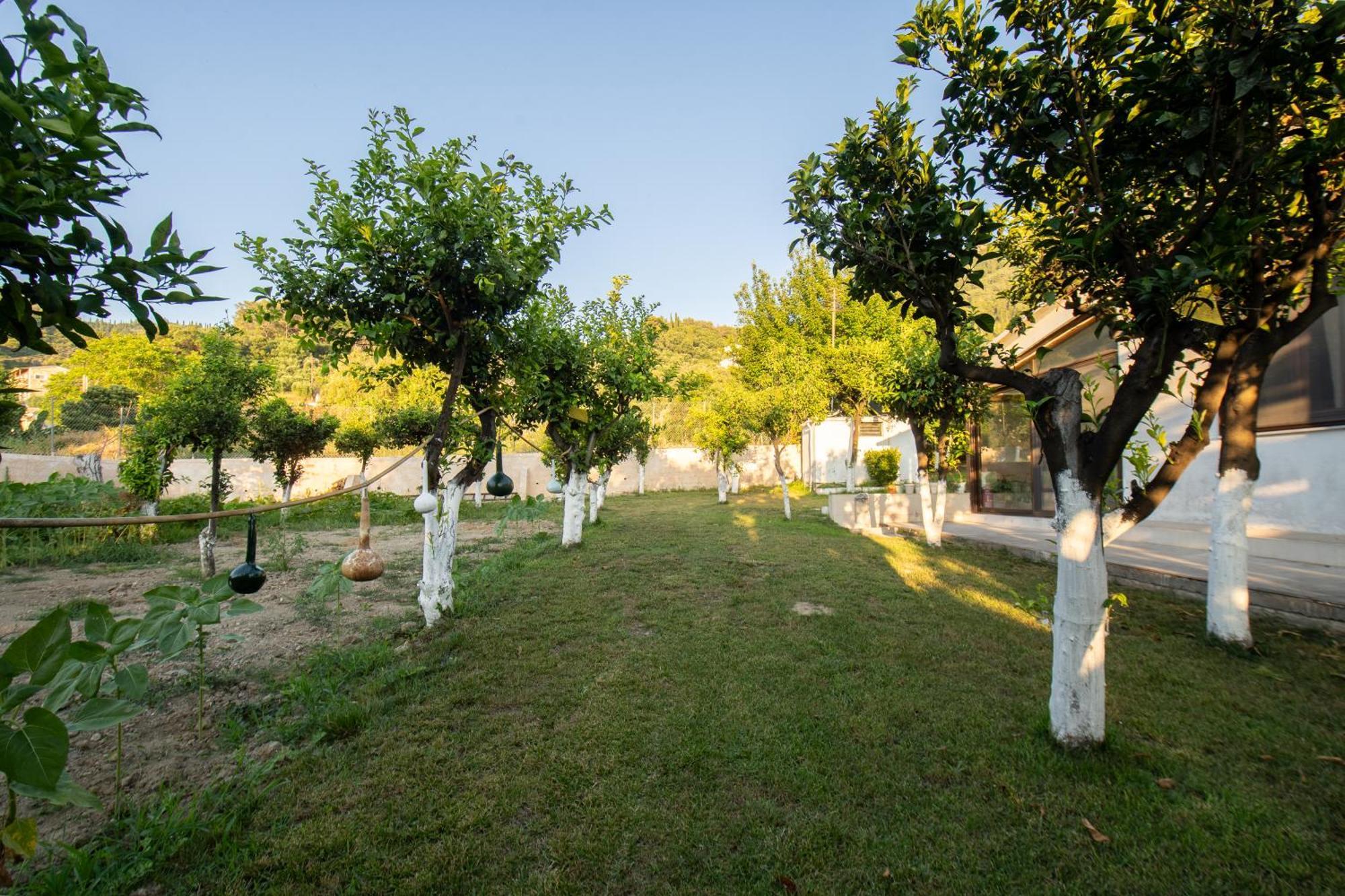 To Ktimataki Villa Agios Gordios  Exterior foto